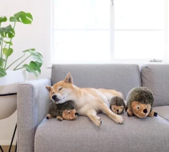 Zolux Peluche Hérisson -Éco Pattes peluche herisson outwarddhound4