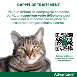 Advantage 80 Chat Et Lapin De Plus De 4 Kg -Éco Pattes rappel traitement advantage FR 1
