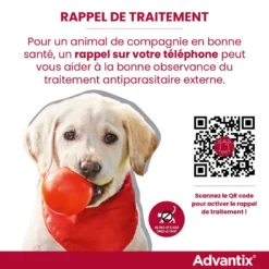 Advantix Petit Chien 4-10Kg -Éco Pattes rappel traitement advantix FR 2