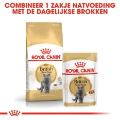 Royal Canin British Shorthair Pour Chat 4kg -Éco Pattes rc fbn britishsh cv eretailkit 4 nl nl 1
