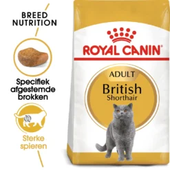 Royal Canin British Shorthair Pour Chat 4kg -Éco Pattes rc fbn britishsh mv eretailkit nl nl 1