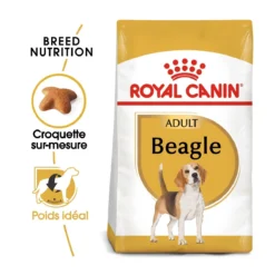 Royal Canin Beagle Adult Pour Chien 12kg -Éco Pattes royal canin beagle adult beagle adulte 1