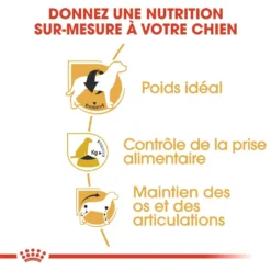 Royal Canin Beagle Adult Pour Chien 12kg -Éco Pattes royal canin beagle adult beagle adulte 2