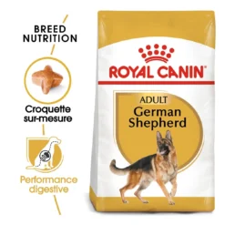 Royal Canin Berger Allemand Adult Pour Chien 11kg -Éco Pattes royal canin berger allemand adult german shepherd berger allemand adulte german shepherd 1
