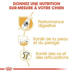 Royal Canin Berger Allemand Adult Pour Chien 11kg -Éco Pattes royal canin berger allemand adult german shepherd berger allemand adulte german shepherd 2