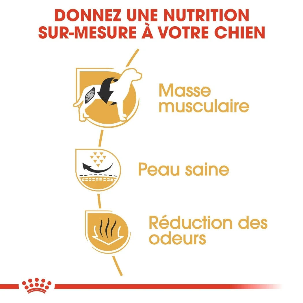 Royal Canin French Bulldog Adult Pour Chien 9kg 4 Royal Canin French Bulldog Adult Pour Chien 9kg – Image 4