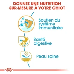 Royal Canin French Bulldog Chiot Pour Chien 10kg 8 Royal Canin French Bulldog Chiot Pour Chien 10kg -Éco Pattes royal canin bouledogue francais puppy bouledogue francais junior 2