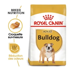 Royal Canin Bulldog Anglais Adult Pour Chien 12kg -Éco Pattes royal canin boulldog anglais adult bulldog bouledogue anglais bulldog 1