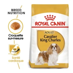 Royal Canin Cavalier King Charles Adult Pour Chien 7,5kg -Éco Pattes royal canin cavalier king charles adult cavalier king charles 1
