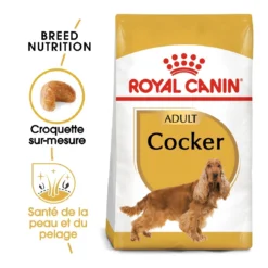 Royal Canin Cocker Adult Pour Chien 12kg -Éco Pattes royal canin cocker adult cocker 1 1