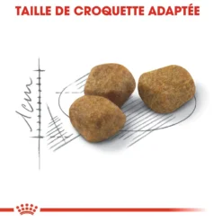 Royal Canin Fit 32 Chat Adult 10kg -Éco Pattes royal canin fit fit 2