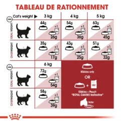 Royal Canin Fit 32 Chat Adult 10kg -Éco Pattes royal canin fit fit 4