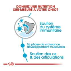 Royal Canin Giant Junior Pour Chien 15kg -Éco Pattes royal canin giant junior giant junior 2