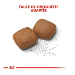 Royal Canin Giant Junior Pour Chien 15kg -Éco Pattes royal canin giant junior giant junior 3