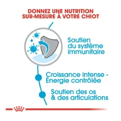 Royal Canin Giant Puppy Pour Chien - 15kg -Éco Pattes royal canin giant puppy giant puppy 2