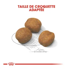 Royal Canin Giant Puppy Pour Chien - 15kg -Éco Pattes royal canin giant puppy giant puppy 3