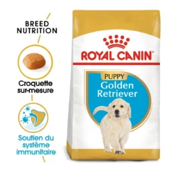 Royal Canin Golden Retriever Chiot Pour Chien 12kg -Éco Pattes royal canin golden retriever puppy golden retriever junior 1