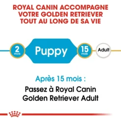 Royal Canin Golden Retriever Chiot Pour Chien 12kg -Éco Pattes royal canin golden retriever puppy golden retriever junior 3