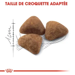 Royal Canin Indoor 27 Adult Pour Chat 10kg -Éco Pattes royal canin indoor indoor 1