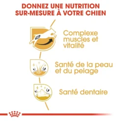 Royal Canin Jack Russell Adult Pour Chien 7,5kg -Éco Pattes royal canin jack russell adult jack russell adulte 2