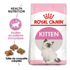 Royal Canin Chaton - 10kg -Éco Pattes royal canin kitten second age kitten second age 1