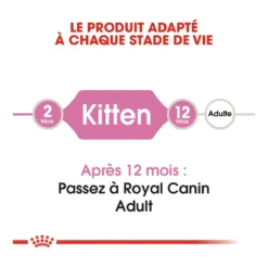 Royal Canin Chaton - 10kg -Éco Pattes royal canin kitten second age kitten second age 2