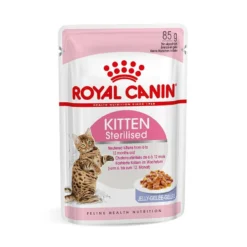 Royal Canin Kitten Sterilised -Éco Pattes royal canin kitten sterilised kitten sterilised lot x g 1 1