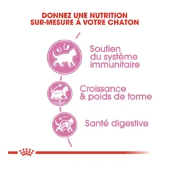 Royal Canin Kitten Sterilised -Éco Pattes royal canin kitten sterilised kitten sterilised 3 1