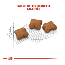 Royal Canin Kitten Sterilised -Éco Pattes royal canin kitten sterilised kitten sterilised 4 1