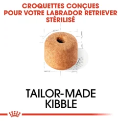 Royal Canin Labrador Retriever Sterilised Adult - 12Kg -Éco Pattes royal canin labrador retriever sterilised adult croquettes pour chien labrador retriever sterilised adult 3