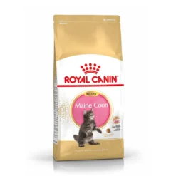 Royal Canin Maine Coon Chaton Pour Chat 10kg 13 Royal Canin Maine Coon Chaton Pour Chat 10kg -Éco Pattes royal canin maine coon kitten maine coon kitten