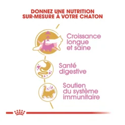 Royal Canin Maine Coon Chaton Pour Chat 10kg 10 Royal Canin Maine Coon Chaton Pour Chat 10kg -Éco Pattes royal canin maine coon kitten maine coon kitten 2