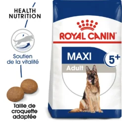 Royal Canin Maxi Adult 5+ Pour Chien 15kg -Éco Pattes royal canin maxi adult croquettes pour chien maxi adult 1