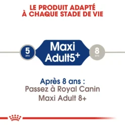 Royal Canin Maxi Adult 5+ Pour Chien 15kg -Éco Pattes royal canin maxi adult croquettes pour chien maxi adult 2