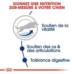 Royal Canin Maxi Adult 5+ Pour Chien 15kg -Éco Pattes royal canin maxi adult croquettes pour chien maxi adult 3