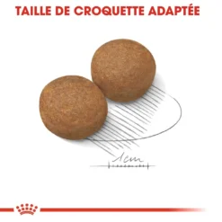 Royal Canin Maxi Adult Pour Chien 15kg -Éco Pattes royal canin maxi adult croquettes pour chien maxi adult 3