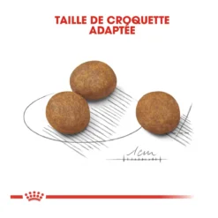 Royal Canin Maxi Chiot Pour Chien 4kg -Éco Pattes royal canin maxi puppy croquettes pour chiot maxi puppy 3