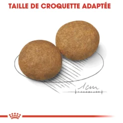 Royal Canin Medium Adult Pour Chien 15kg -Éco Pattes royal canin medium adult croquettes pour chien medium adult 3