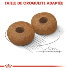 Royal Canin Medium Ageing 10+ Pour Chien 15kg 8 Royal Canin Medium Ageing 10+ Pour Chien 15kg -Éco Pattes royal canin medium ageing medium ageing 2