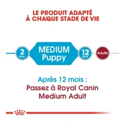 Royal Canin Medium Junior Pour Chien -Éco Pattes royal canin medium puppy croquettes pour chiot medium puppy 2 1