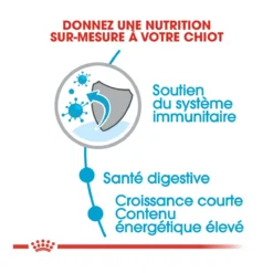 Royal Canin Medium Junior Pour Chien -Éco Pattes royal canin medium puppy croquettes pour chiot medium puppy 3 1