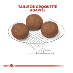 Royal Canin Medium Junior Pour Chien -Éco Pattes royal canin medium puppy croquettes pour chiot medium puppy 4 1