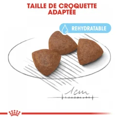 Royal Canin Medium Starter Mother & Babydog - 15Kg -Éco Pattes royal canin medium starter medium starter 2