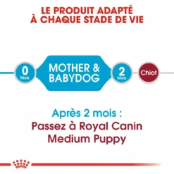 Royal Canin Medium Starter Mother & Babydog - 15Kg -Éco Pattes royal canin medium starter medium starter 4
