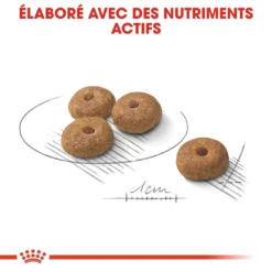 Royal Canin Sterilised Mini Adult Pour Chien 8kg -Éco Pattes royal canin mini sterilised croquettes pour chien mini sterilised 2 2
