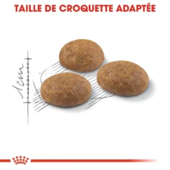 Royal Canin Outdoor Pour Chat 10kg -Éco Pattes royal canin outdoor outdoor 2