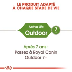 Royal Canin Outdoor Pour Chat 10kg -Éco Pattes royal canin outdoor outdoor 3