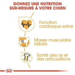 Royal Canin Rottweiler Adult Pour Chien 12kg -Éco Pattes royal canin rottweiler adult rottweiler 2