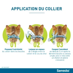 Seresto Collier Chat -Éco Pattes seresto application du collier chez le chat