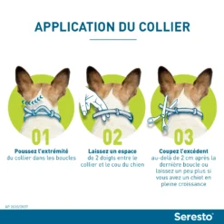Seresto Collier Chien -Éco Pattes seresto application du collier chez le chien